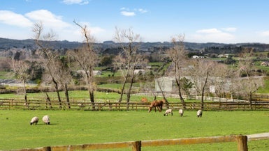 61 Walters Road, Karaka, Papakura - Carousel 1