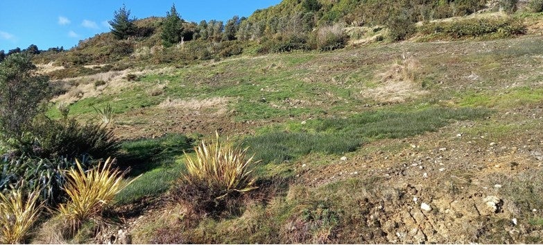 2 Middle Paddock, BLUE SPUR, HOKITIKA - Carousel 2