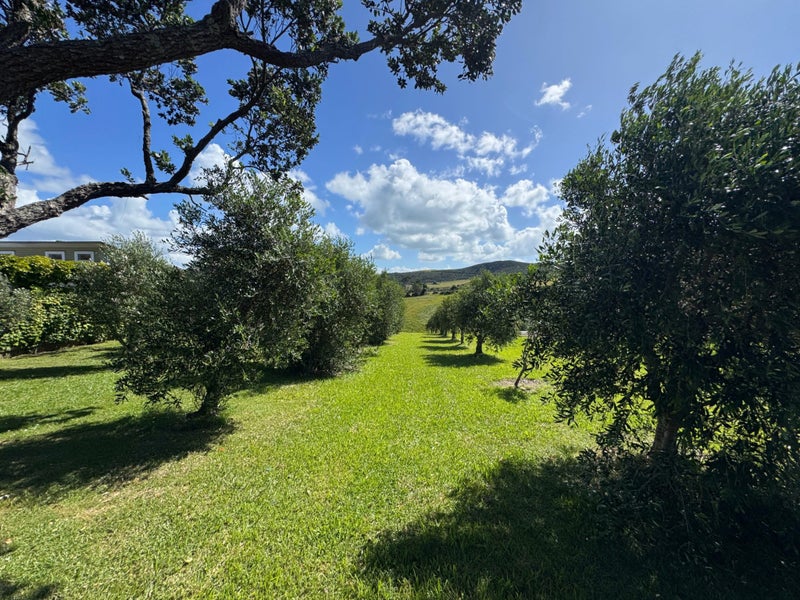 439 Sea View Road, Onetangi, Waiheke Island - Carousel 2
