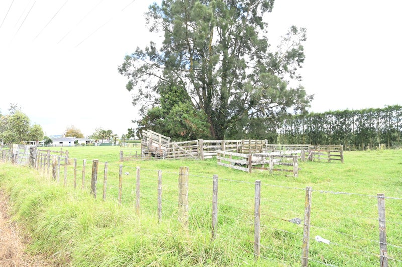 94 Burness Road, Meeanee, Napier - Carousel 19