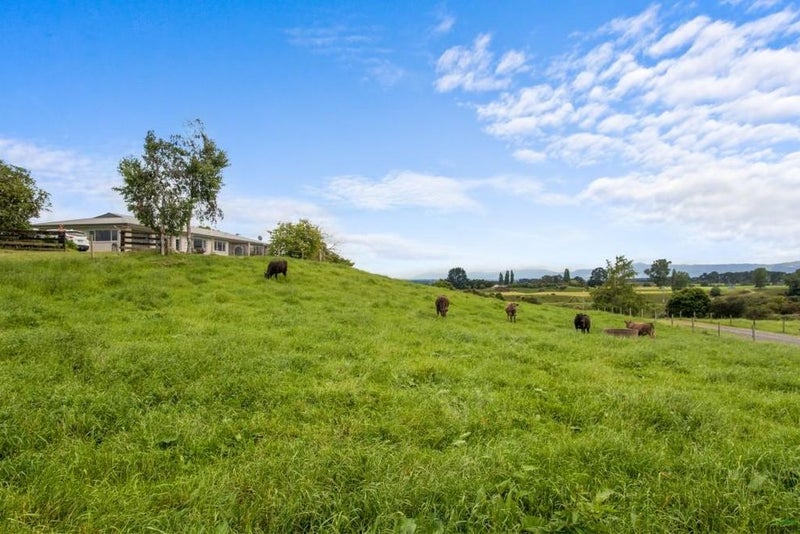 882 State Highway 5, Tirau - Carousel 1