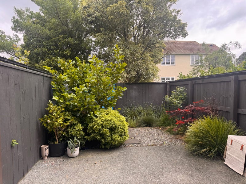 7 Ron Deal way, Epuni, Lower Hutt - Carousel 15