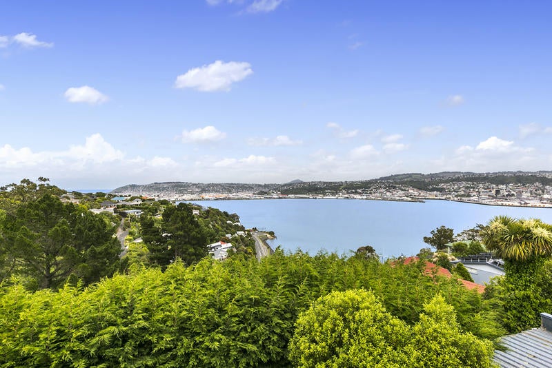 40 Shandon Road, Vauxhall, Dunedin - Carousel 2