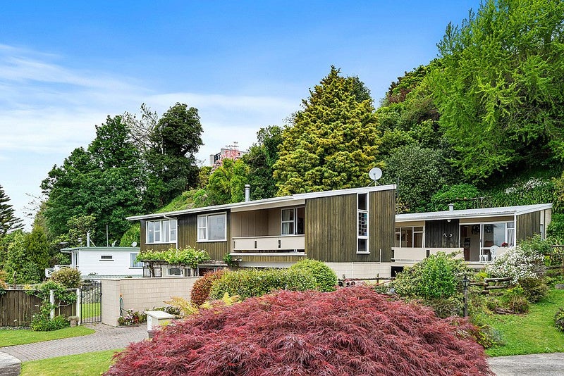 6 Manahi Avenue, Kawaha Point, Rotorua - Carousel 2