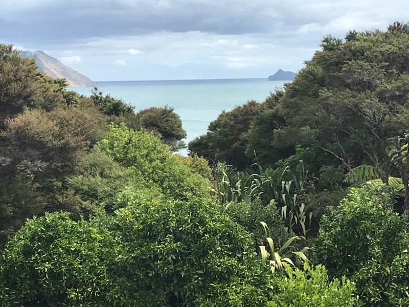 149 Cornwallis Road, Cornwallis, Auckland - Carousel 31