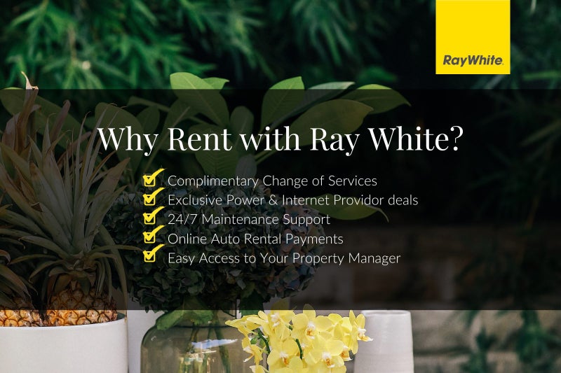 74 Endcliffe Road, Kaiti, Gisborne - Carousel 19