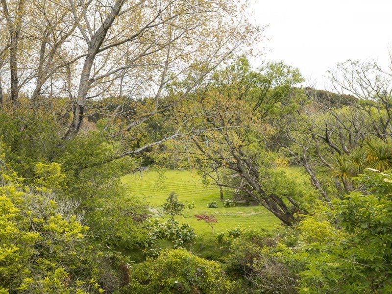 9 Petersens Road, Palmerston North - Carousel 20