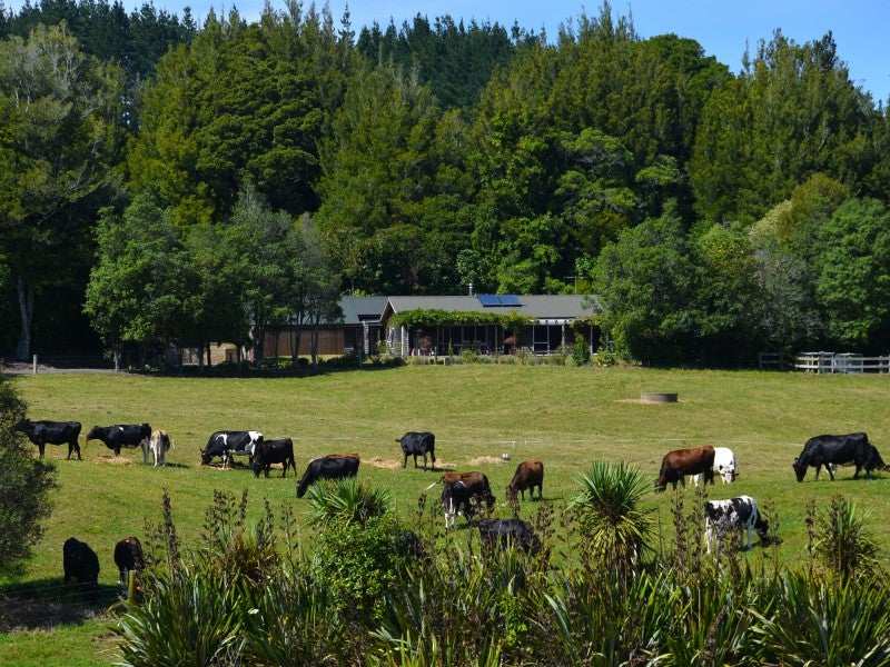 871 Te Waerenga Road, Hamurana - Carousel 1