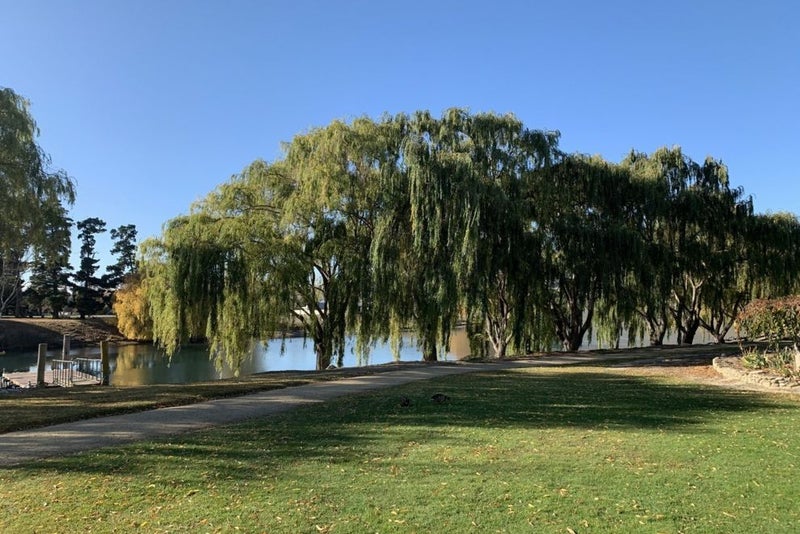 23 Foster Place, Mount Pisa, Cromwell - Carousel 11