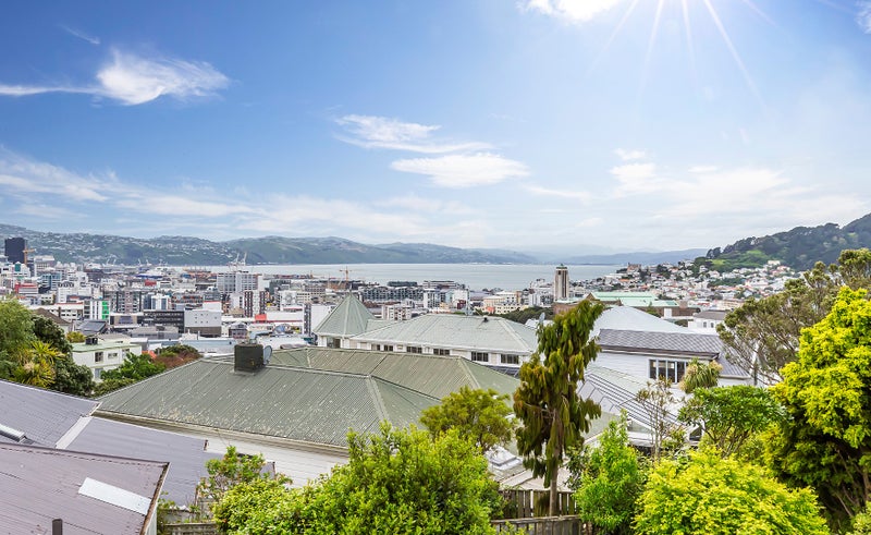 3/45 Bidwill Street, Mount Cook, Wellington - Carousel 2