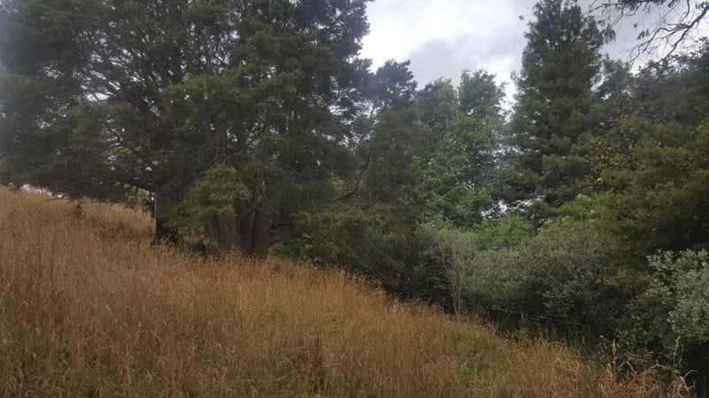 254 Logan Road, Buckland - Carousel 25