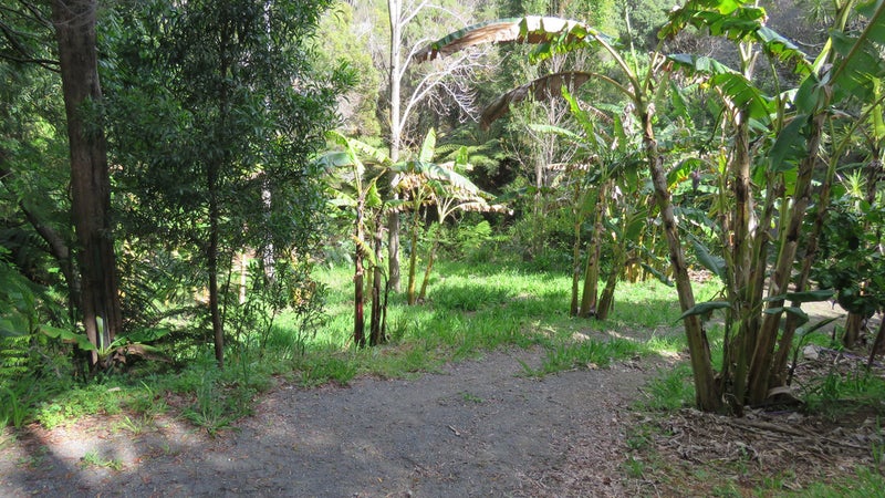 0 Whatuwhiwhi Road, Karikari Peninsula - Carousel 23