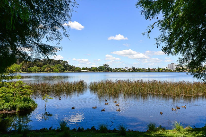 2 Fowlers Avenue, Frankton, Hamilton - Carousel 20