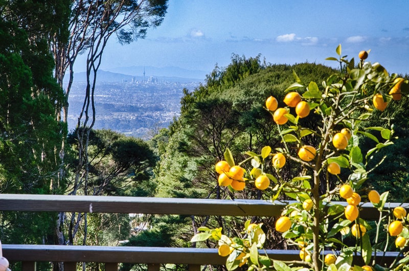 424A Scenic Drive, Waiatarua, Auckland - Carousel 20