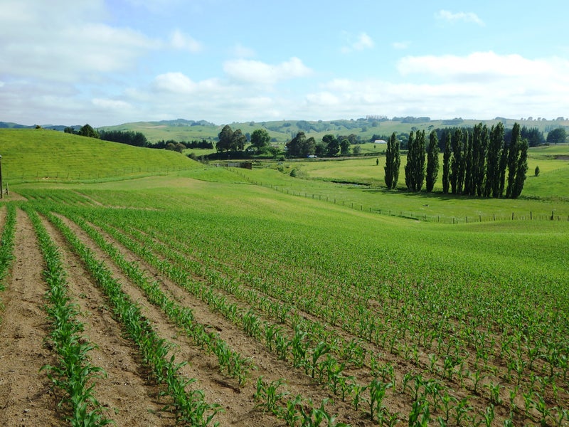 0 Arapuni Road, Arapuni, Putaruru - Carousel 1