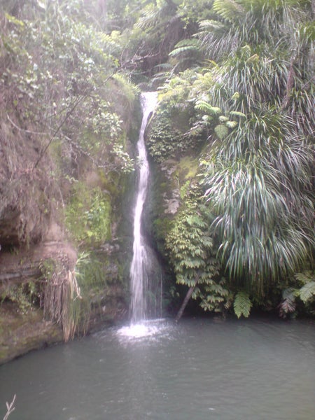 130 Shaw Road, Oratia, Auckland - Carousel 17