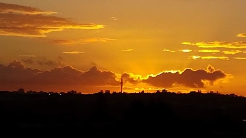 1/2 Pitlochry Place, Highland Park, Auckland - Carousel 5