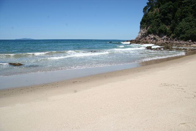 341 Onemana Drive, Onemana - Carousel 23