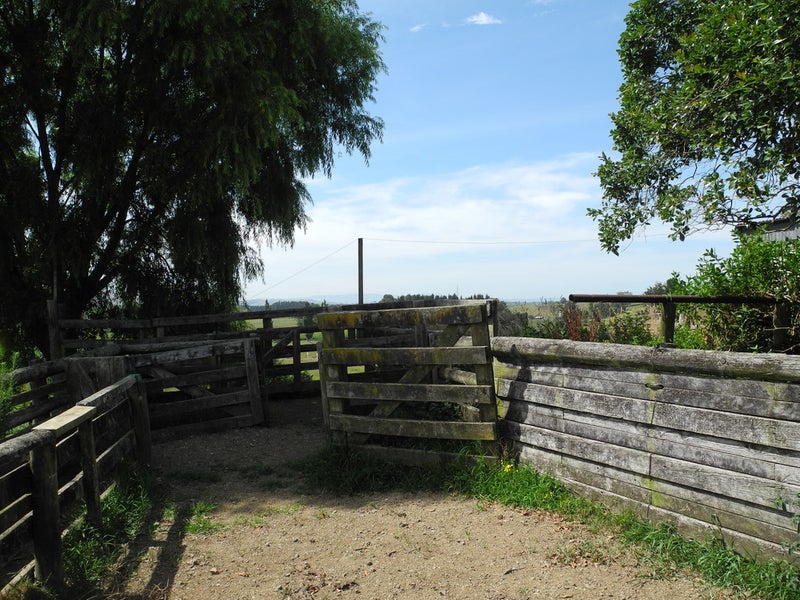 69 Te Tahi Road, Te Awamutu - Carousel 21