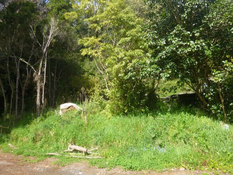 24 Kaimanawa Street, Paraparaumu - Carousel 2