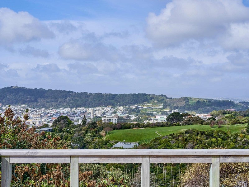 44 Mortimer Terrace, Aro Valley, Wellington - Carousel 21