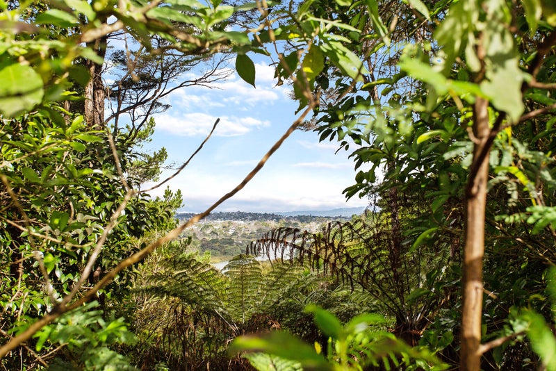 32 Kereru Grove, Greenhithe, Auckland - Carousel 2
