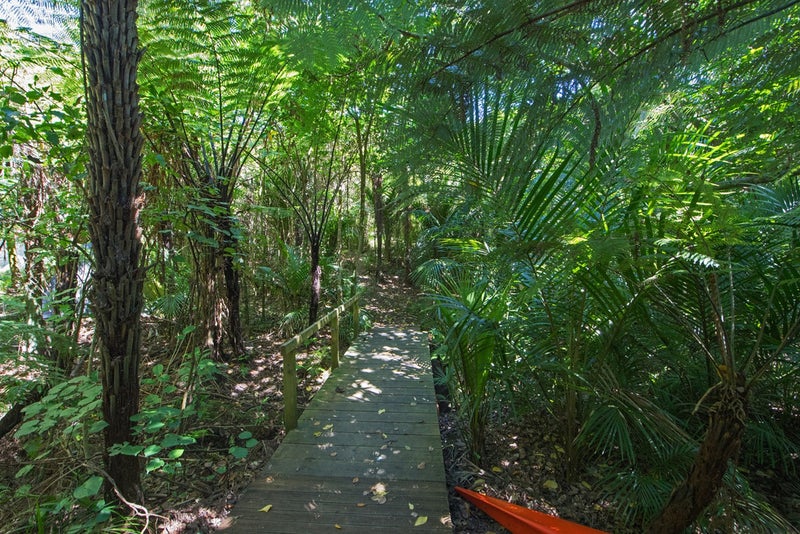 11 Te Aroha Avenue, Oneroa, Waiheke Island - Carousel 23