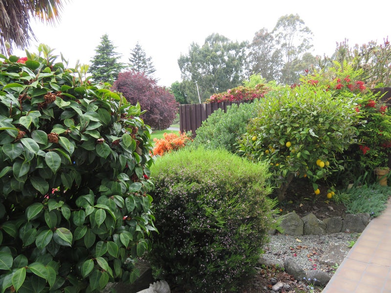 115 Domain Avenue, Kensington, Timaru - Carousel 15