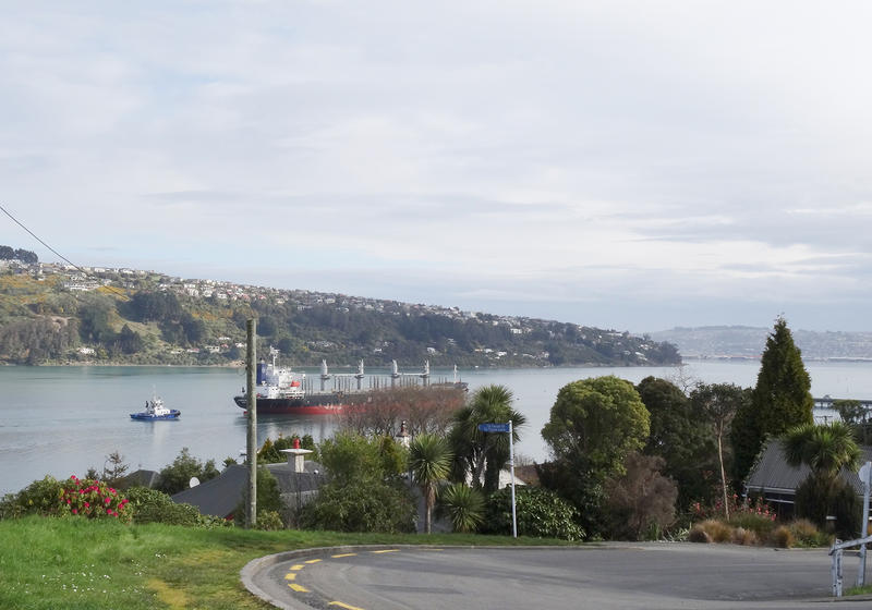 4A Totara Street, Ravensbourne, Dunedin - Carousel 15