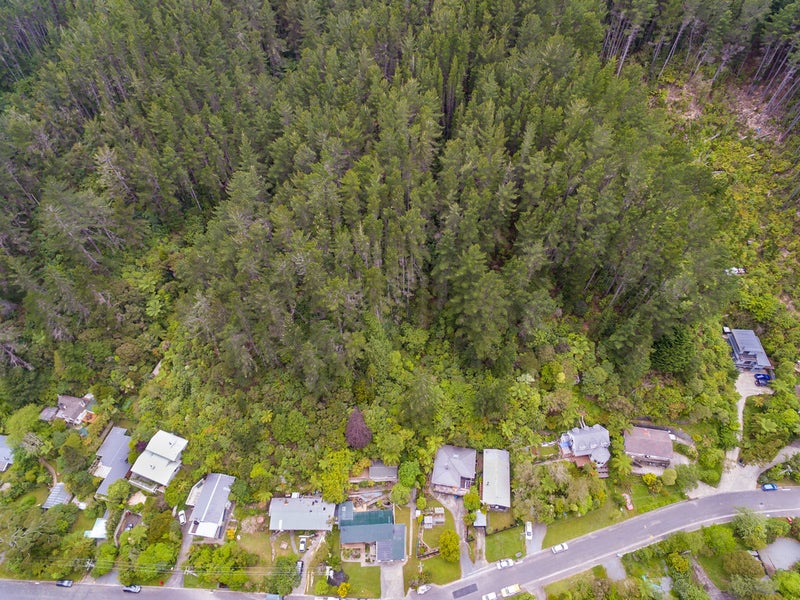 143 Pinehaven Road, Pinehaven, Upper Hutt - Carousel 21