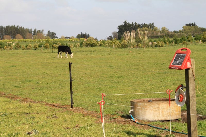 352B State Highway 3, Westmere, Whanganui - Carousel 7