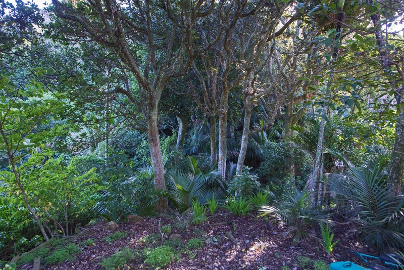 41 Glen Brook Road, Omiha, Waiheke Island - Carousel 2