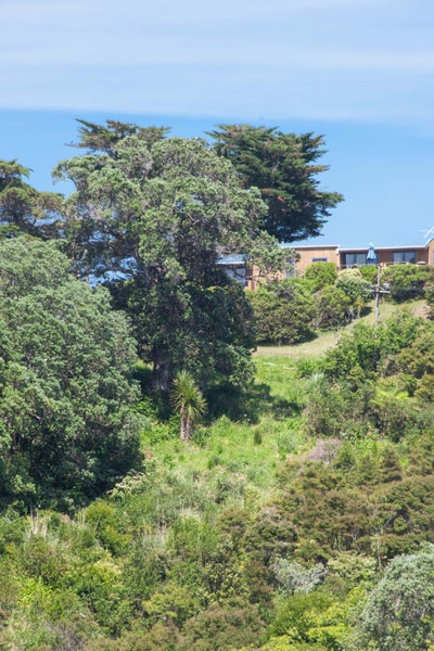 23 Cory Road, Palm Beach, Waiheke Island - Carousel 14