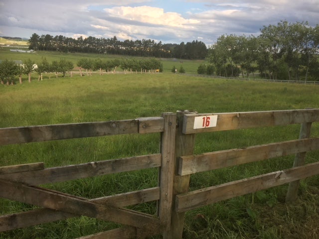 16 Graham Mcrae Place, Whangamarino, Te Kauwhata - Carousel 2