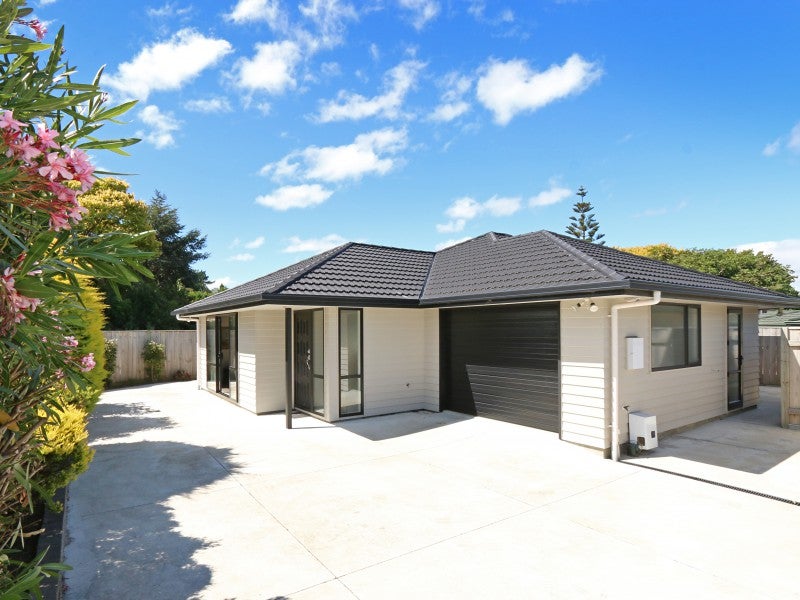 451 Ruahine Street, Terrace End, Palmerston North - Carousel 1