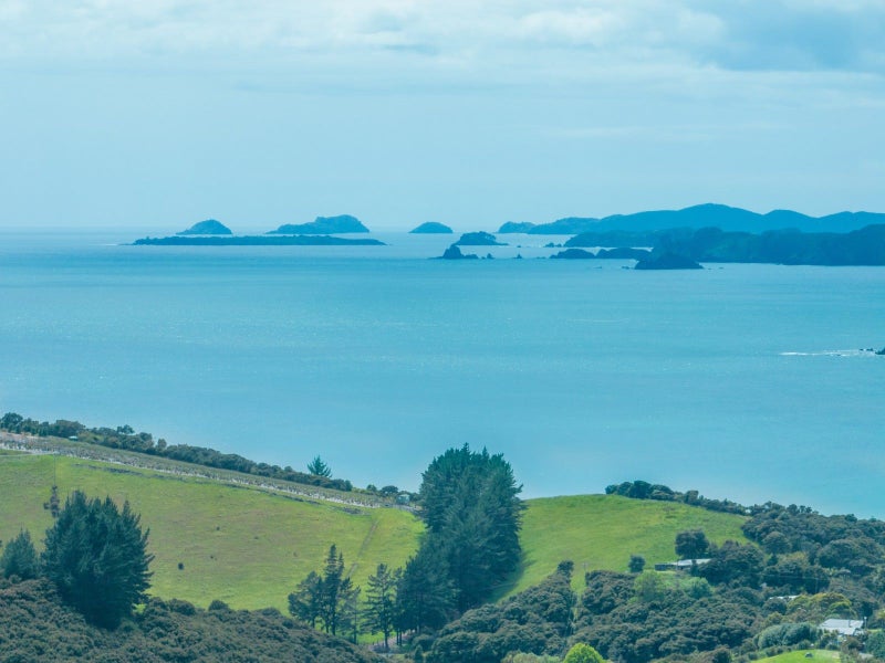 2 Taupo Bay Road, Taupo Bay - Carousel 24