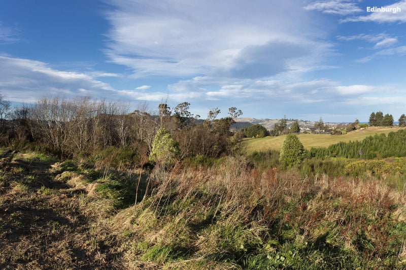 6 Joshua Place, Helensburgh, Dunedin - Carousel 38