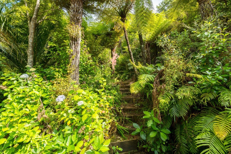 55 Hope Drive, Ōkiwi Bay - Carousel 26