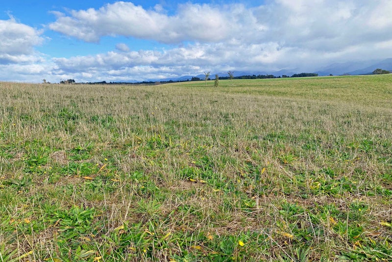 8 Te Papa Lane, Upper Moutere - Carousel 2