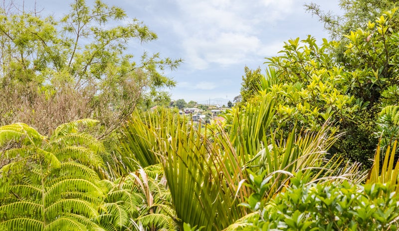 142 Shaw Road, Oratia, Auckland - Carousel 24