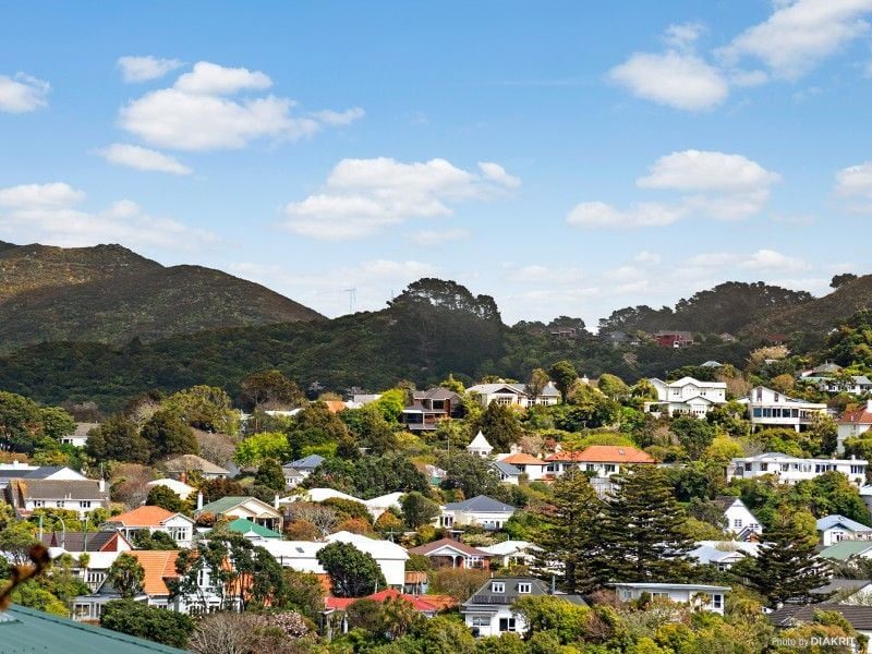 113 Northland Road, Northland, Wellington - Carousel 14