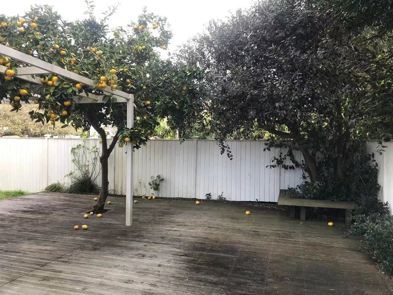 67 Milton Road, Mount Eden, Auckland - Carousel 2