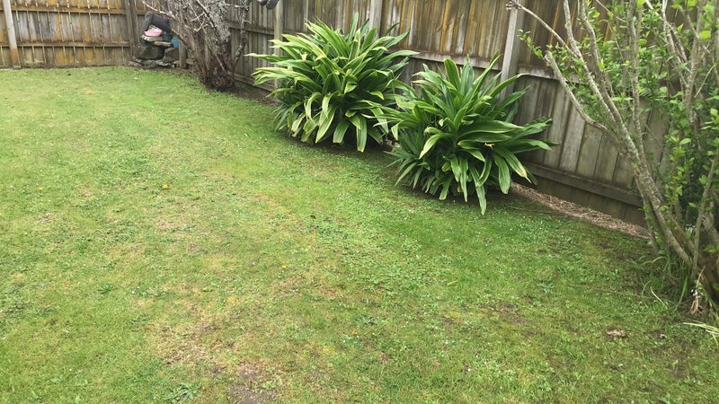 14 Fields Road, Manurewa, Auckland - Carousel 9