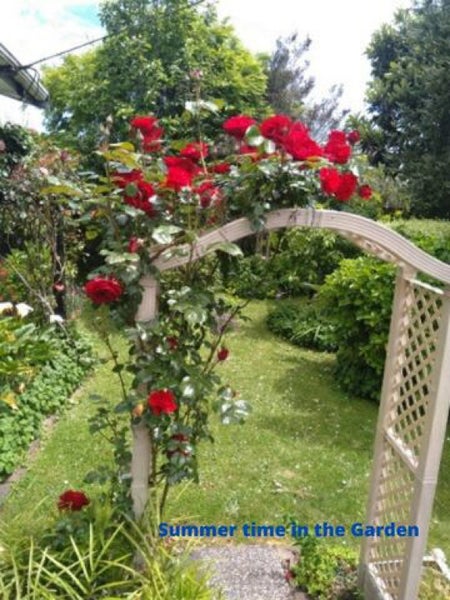 347B Peachgrove Road, Fairfield, Hamilton - Carousel 25