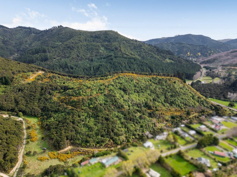 0 Mclaughlin Dr, Tinui - Carousel 2
