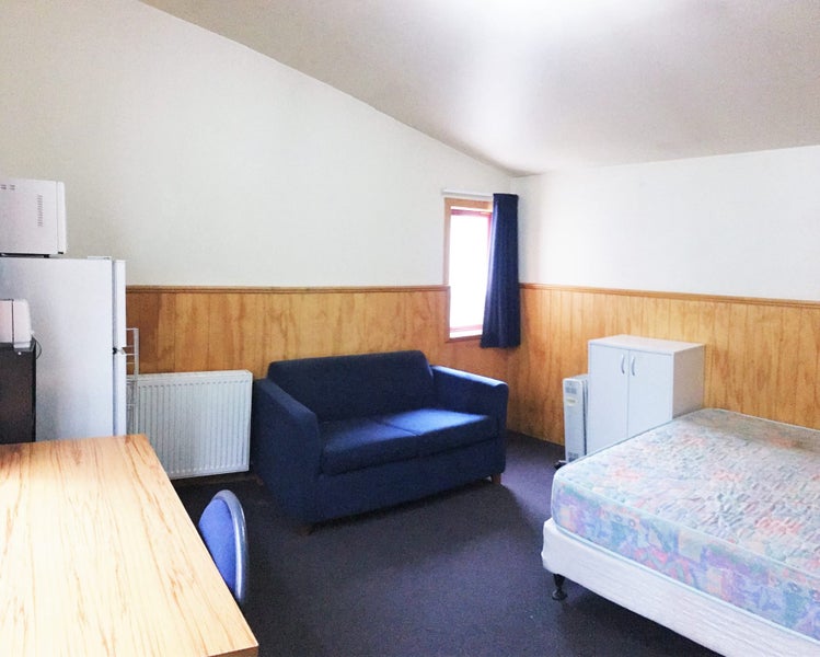 3 Union Street, North Dunedin, Dunedin - Carousel 1