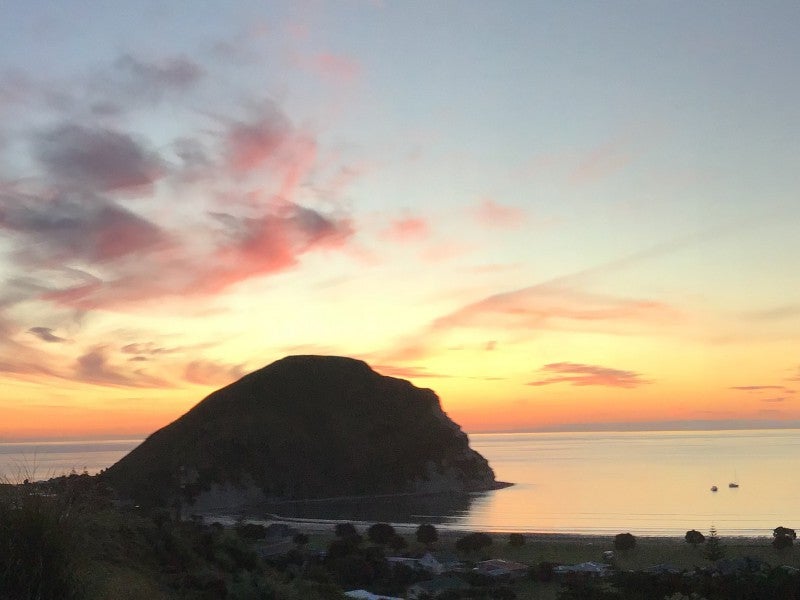 16 Puka Place, MAHIA, NUHAKA - Carousel 2