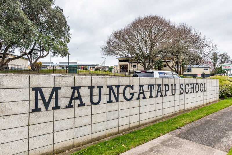 246 Maungatapu Road, Maungatapu, Tauranga - Carousel 19