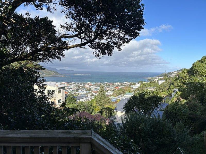 87 Rodrigo Road, Melrose, Wellington - Carousel 1