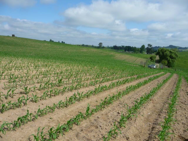 0 Arapuni Road, Arapuni, Putaruru - Carousel 2